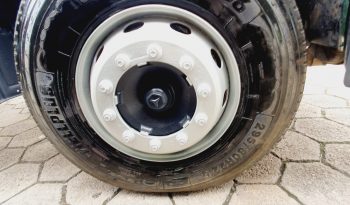 Munk Com Plataforma full
